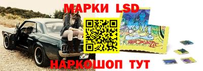 ешки Кингисепп