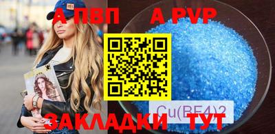 ешки Кингисепп