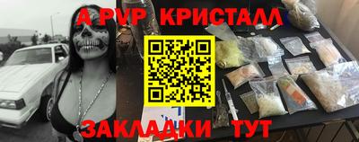 ешки Кингисепп